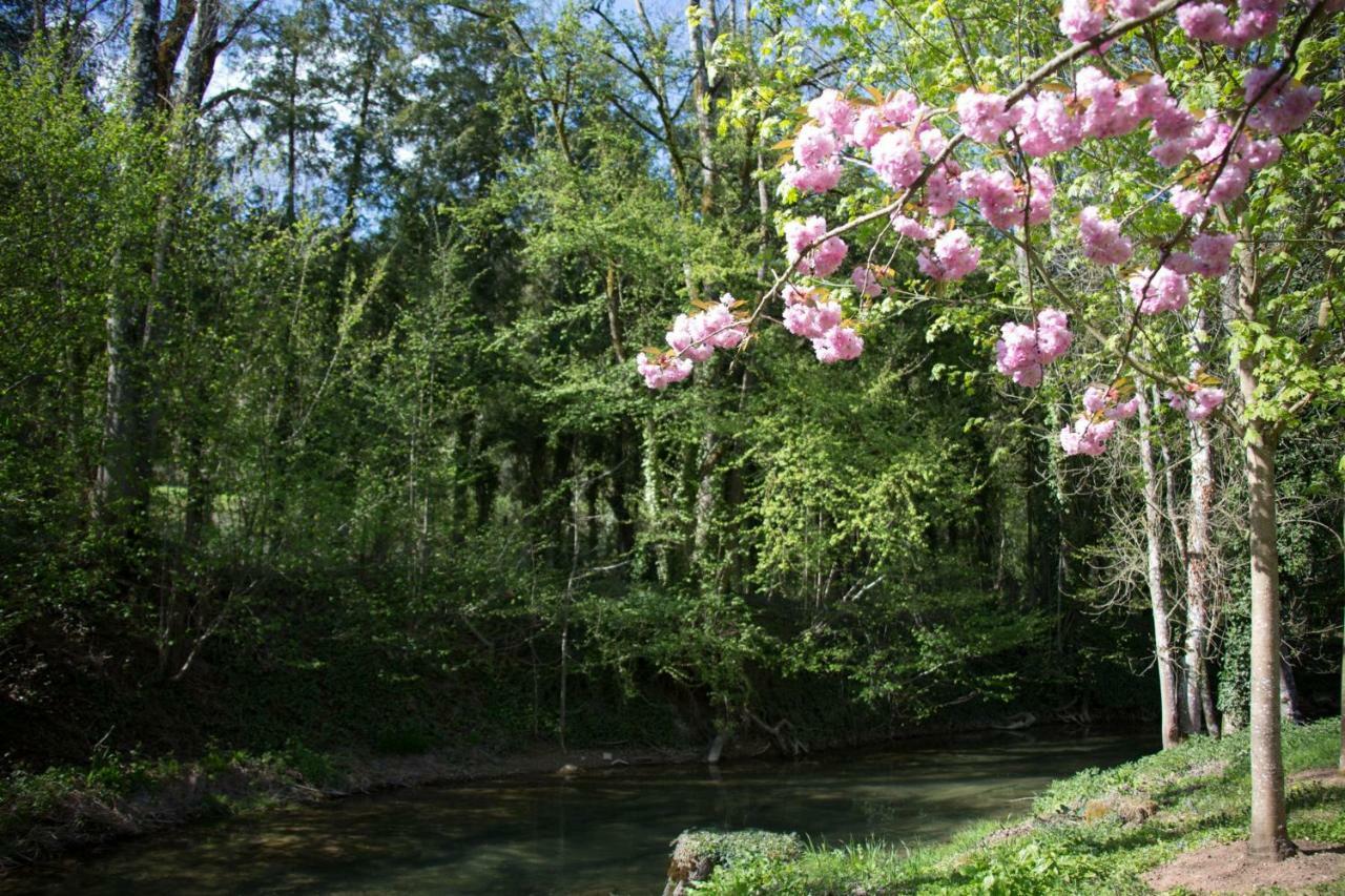 Gite Moulin De La Serree นุย-แซ็ง-ฌอร์ฌ ภายนอก รูปภาพ
