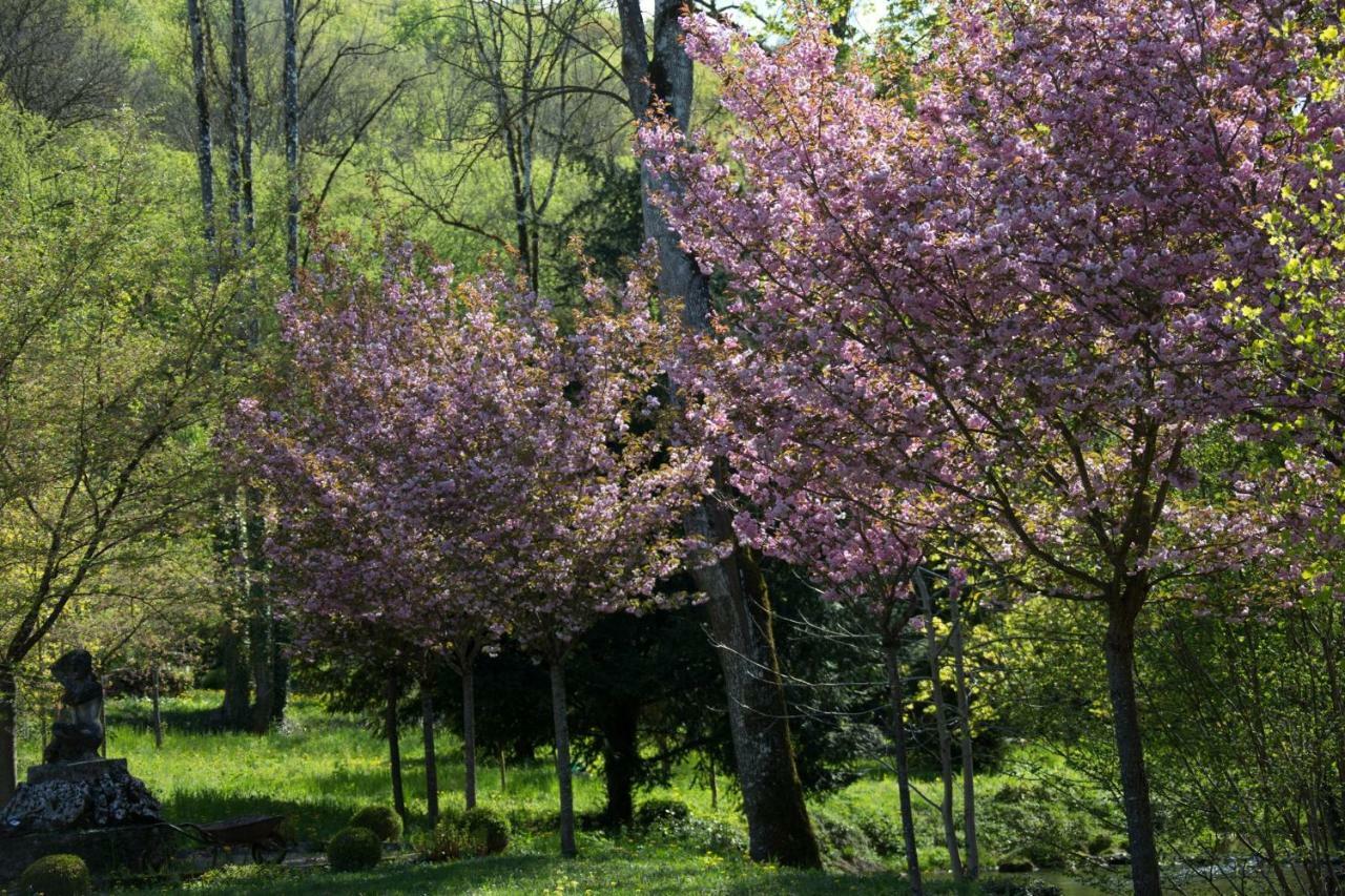 Gite Moulin De La Serree นุย-แซ็ง-ฌอร์ฌ ภายนอก รูปภาพ