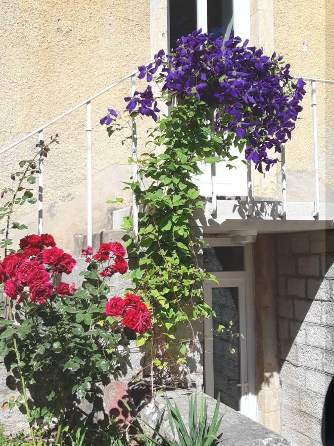 Gite Moulin De La Serree นุย-แซ็ง-ฌอร์ฌ ภายนอก รูปภาพ